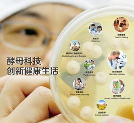 安琪雙業(yè)務(wù)聯(lián)袂亮相CPHI展會(huì)，微生物營(yíng)養(yǎng)與營(yíng)養(yǎng)健康共繪行業(yè)新藍(lán)圖